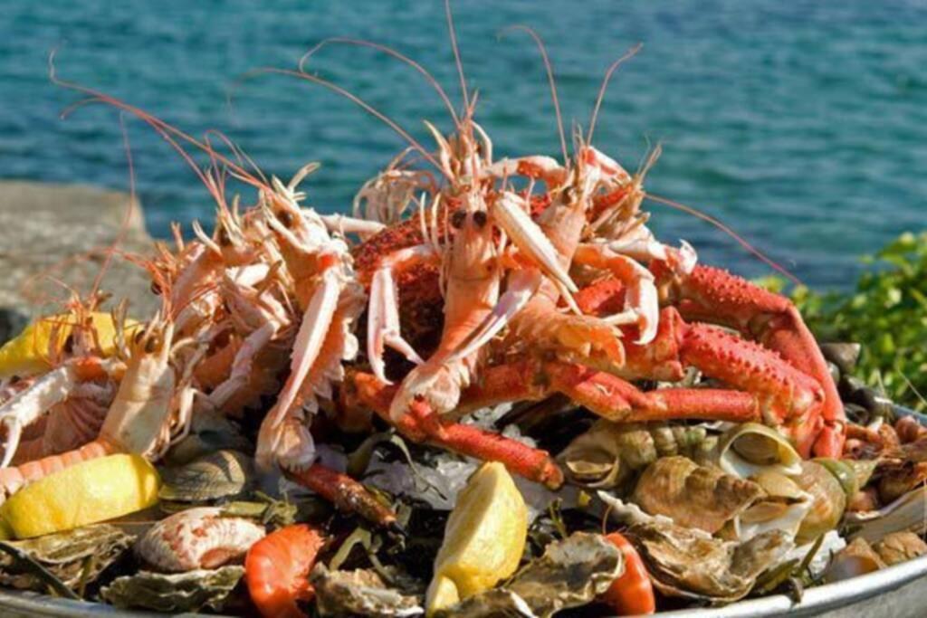 Kermaravel, Le Petit Manoir En Bord De Mer. Saint-Pol-de-Léon Εξωτερικό φωτογραφία